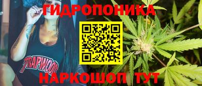каннабис Будённовск